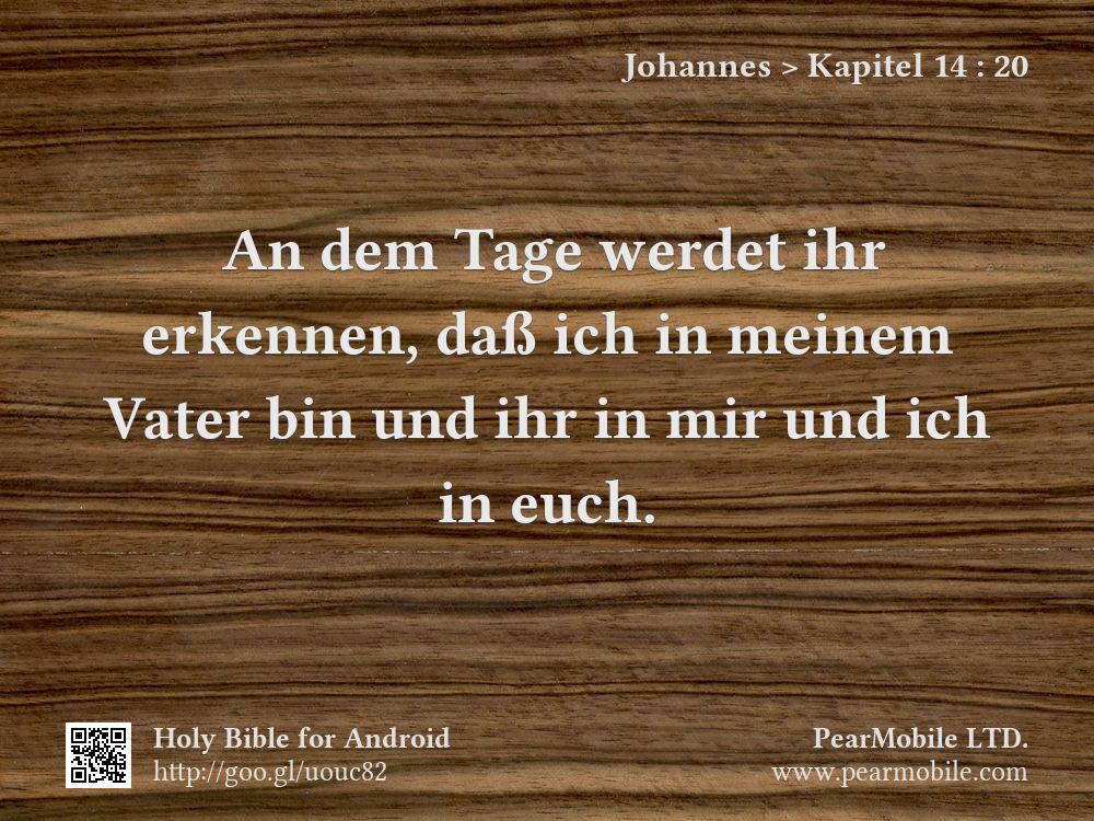 Johannes, Kapitel 14:20